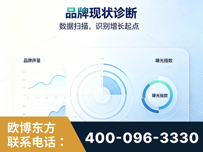灯塔-品牌现状诊断