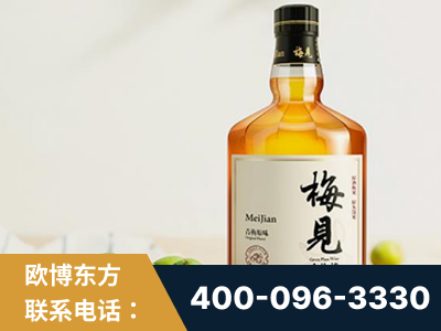 灯塔-梅见青梅酒